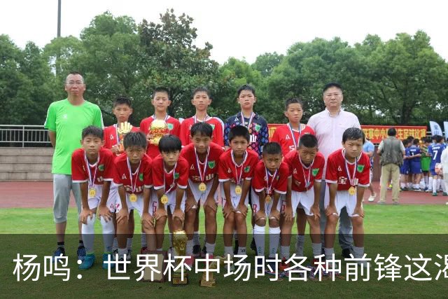 杨鸣：世界杯中场时各种前锋这渴了那饿了全来了 谁能记住后卫呢