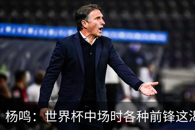 杨鸣：世界杯中场时各种前锋这渴了那饿了全来了 谁能记住后卫呢